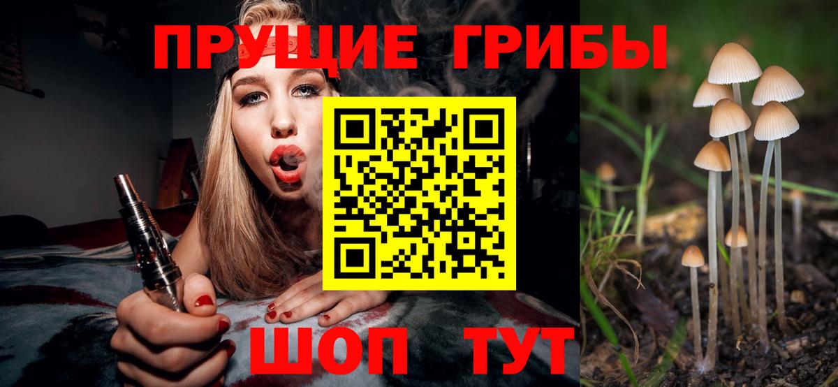 Псилоцибиновые грибы GOLDEN TEACHER Каменка