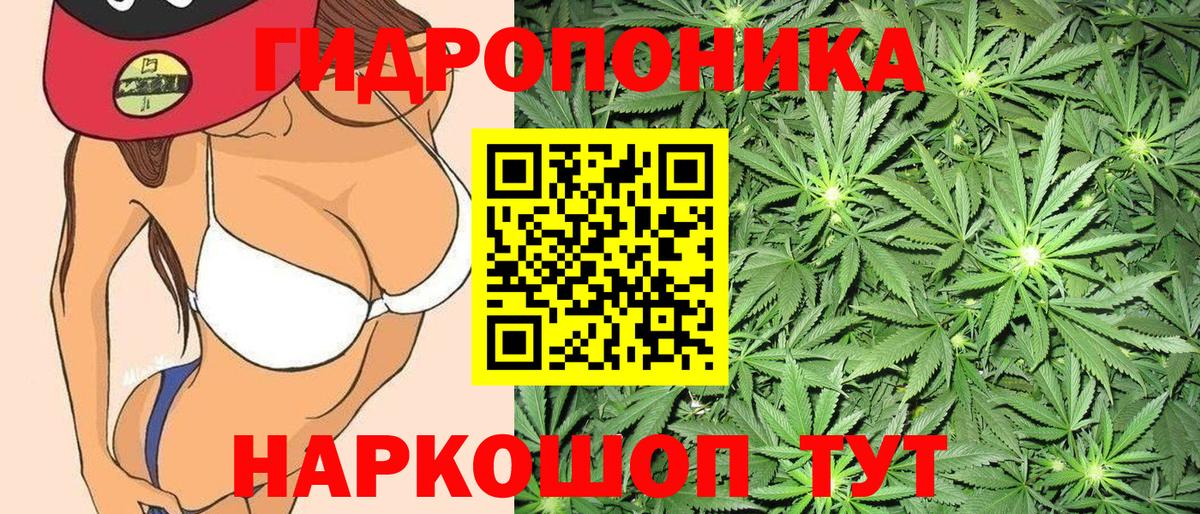 Бошки Шишки индика Каменка